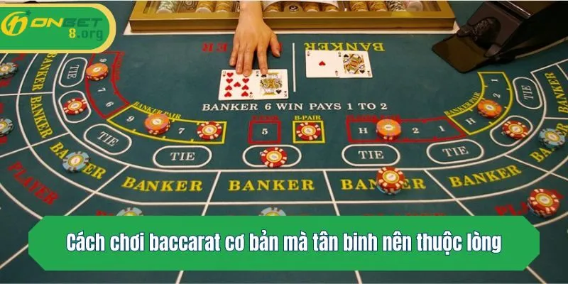 Cách chơi baccarat cơ bản mà tân binh nên thuộc lòng