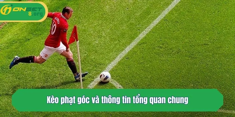 Kèo phạt góc và thông tin tổng quan chung